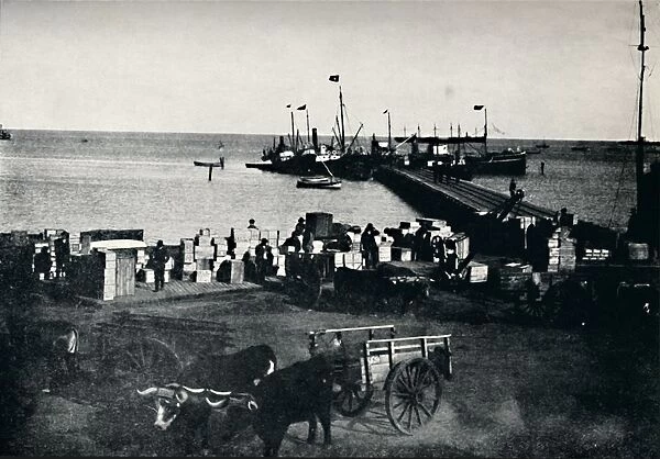 Landing Place, Punta Arenas, 1911