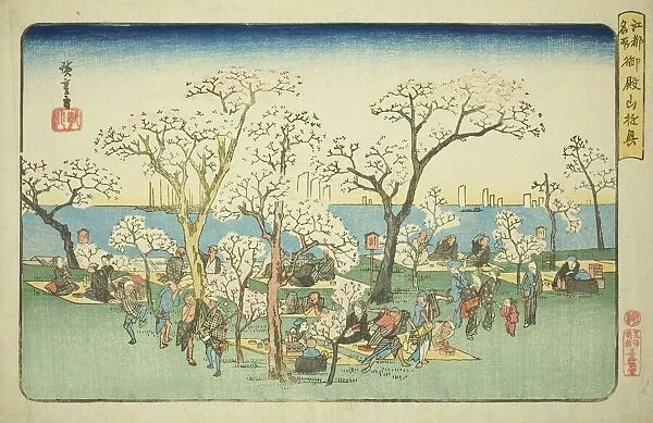 Merrymaking at Goten Hill (Gotenyama yukyo), from the series 'Famous Places in Edo... c1832 / 34. Creator: Ando Hiroshige. Merrymaking at Goten Hill (Gotenyama yukyo), from the series 'Famous Places in Edo... c1832 / 34. Creator: Ando Hiroshige