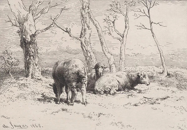 Moutons, 1868. Creator: Charles Emile Jacque