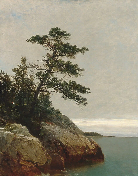 The Old Pine, Darien, Connecticut, 1872. Creator: John Frederick Kensett