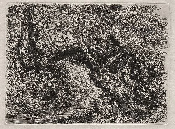 The Old Willow at a Brook, 1794. Creator: Georg von Dillis (German, 1759-1841)