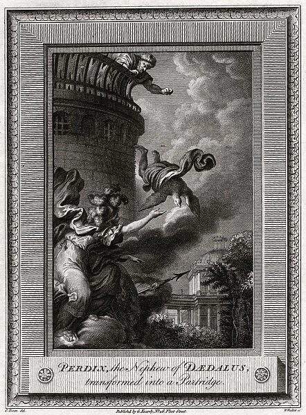 Perdix, the Nephew of Daedalus, transformed into a Partridge, 1774. Artist: W Walker