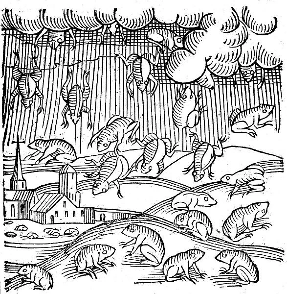Rain of frogs recorded in 1355 (1557)