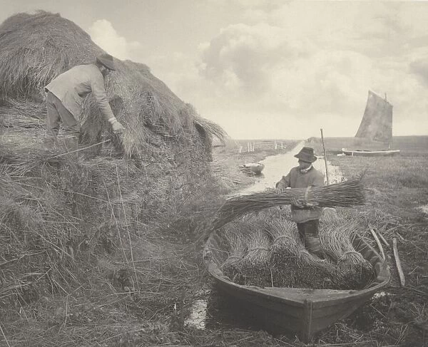 Ricking the Reed, 1886. Creators: Dr Peter Henry Emerson, Thomas Frederick Goodall