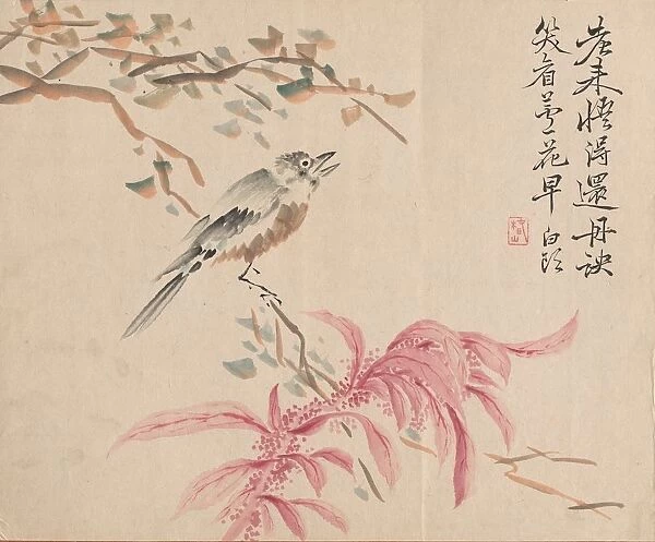 Strawberry Spinach and Nightingale. Creator: Tsubaki Chinzan (Japanese, 1801-1854)