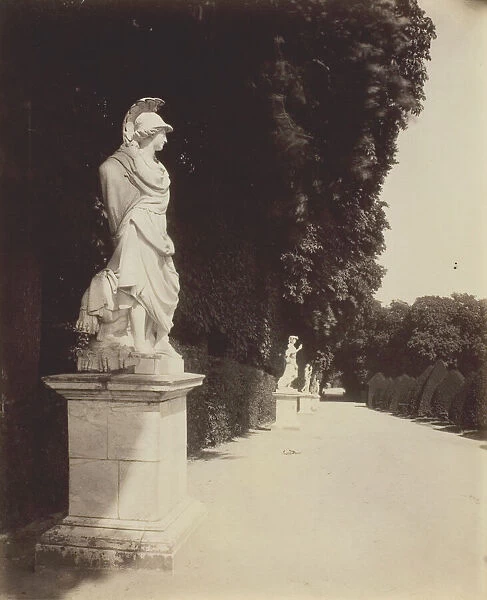 Versailles, Coin de Parc, 1903. Creator: Eugene Atget