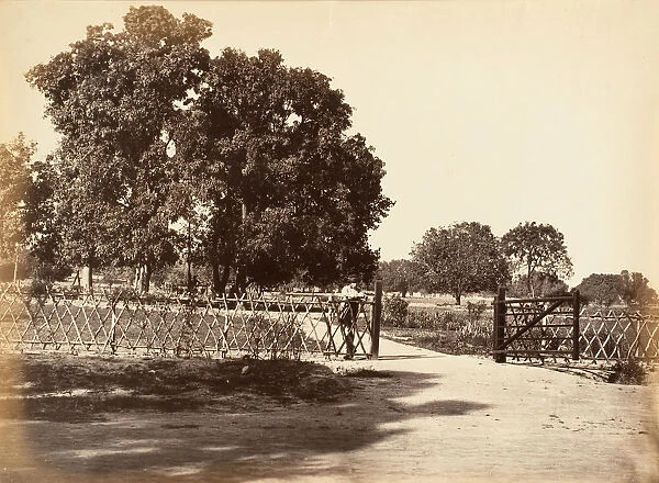 View of Garden, 1850s. Creator: Unknown