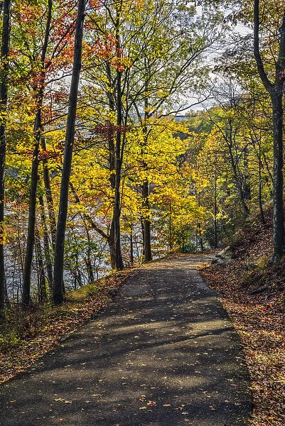 Autumn Foliage In Bear Mountain State Park; Bear Mountain, New York, United States Of America