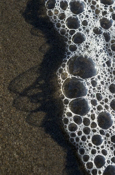 Bubbles Mark The Edge Of The Surf; Cannon Beach, Oregon, United States Of America