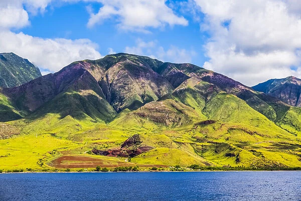 The green landscape of the island of Maui, Hawaii, USA