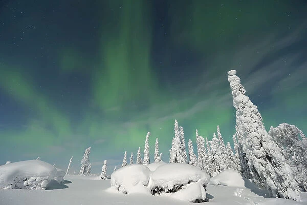 Northern Lights, Nissi, Nordoesterbotten, Finland