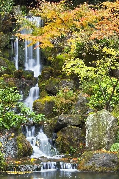 Portland Japanese Garden, Portland, Oregon, Usa