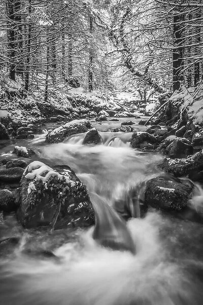 A river cascades through a forest in winter