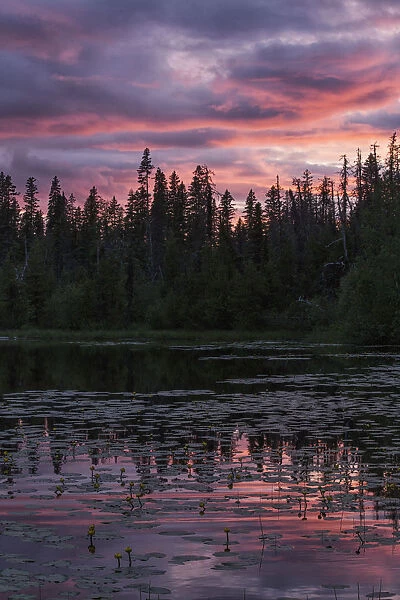 Sunset Over A Small Beaver Pond Along The Yellowhead Highway Near Smithers; British Columbia, Canada