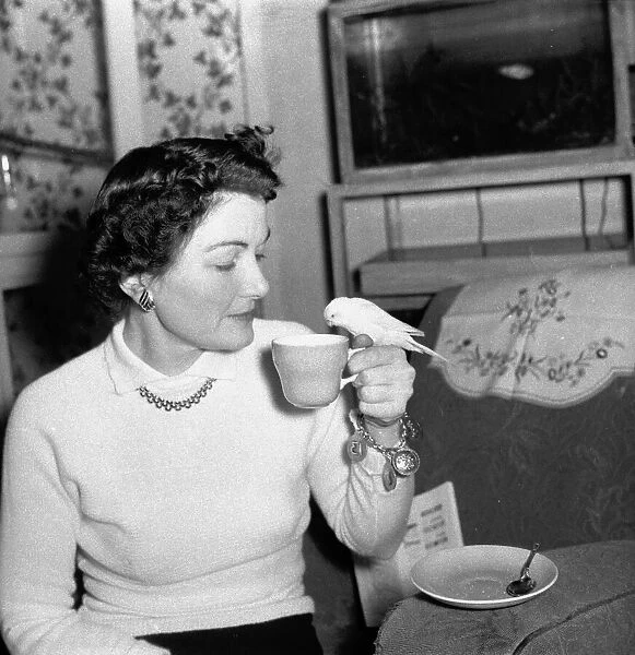Bernard Alfieri Jnr. Woman and Budgie drinking from her tea cup. 20th July 1934