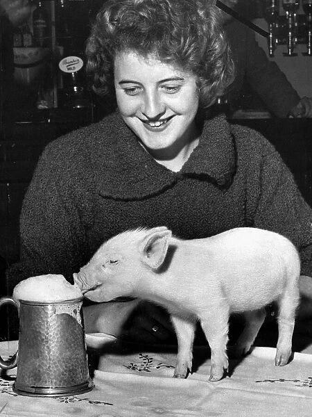 Piglet Piggy likes sitting with its owner Betty Draper in the Butcher