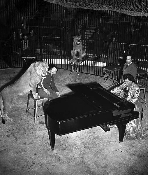 Winifred Atwell plays the piano in a lion cage. 22nd December 1953
