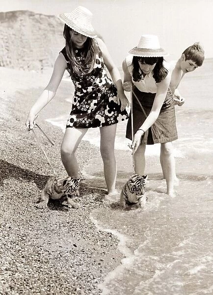 Young girls on the beach, playing in the water with two small tiger cubs