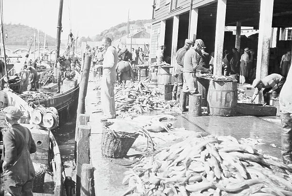East Looe Fish Market