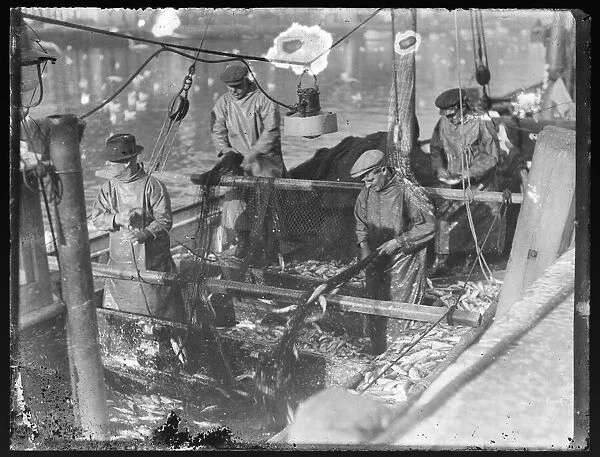 Fishermen sorting their catch onboard boat, East looe Quay