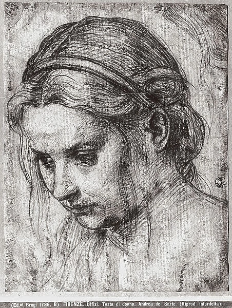 Face of a woman with ruffled hair, looking down; by Andrea del Sarto, in the Gabinetto dei Disegni e delle Stampe, Uffizi Gallery