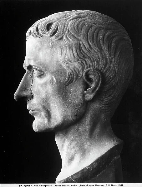 Profile of the head of the Roman emperor Julius Caesar. Sculptural work from the Roman age, preserved in Pisa Cemetery