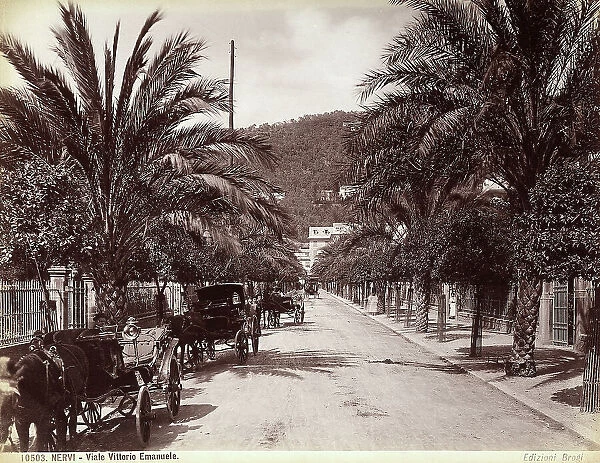 Row of carts along Viale Vittorio Emanuele, Nervi, Genoa