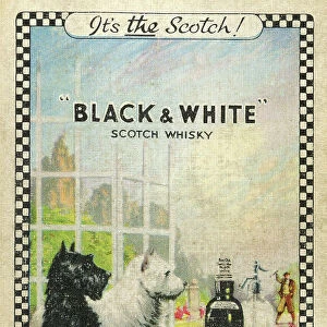 Advert, Black & White Scotch Whisky