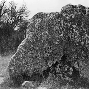 Ancient Standing Stone
