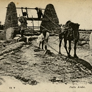 Arab well with men and camels