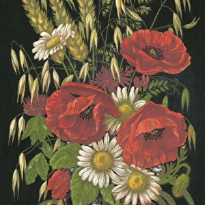 Autumn Flowers 1880