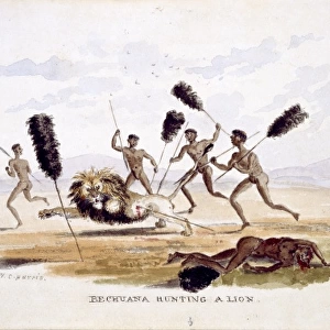 Bechuana Hunting a Lion (Plate 35 / 36)