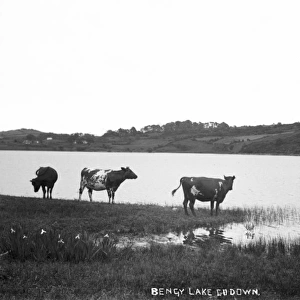 Bengy Lake, Co. Down