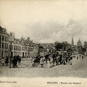 Bergues, France - Marche aux Bestiaux (cattle market)