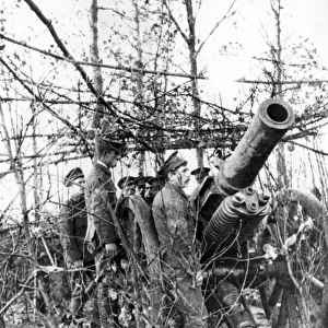 British 6 inch Howitzer, Ploegsteert Wood, Flanders, WW1