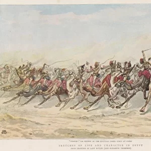 Camel Corps Review / Cairo