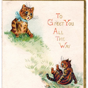 Two cats on a greetings card