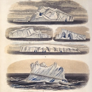 Challenger Icebergs