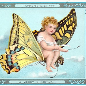 Cherub riding a butterfly on a Christmas card