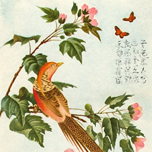 Chinese art, bird on a branch with butterflies and flowers