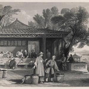 Chinese tea industry