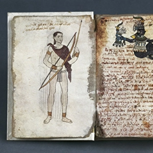 Codex Tudela. 1530-1554. Codex with pictures