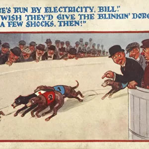 Comic Postcard - Greyhound Racing - The hares run by electricity, Bill Is it