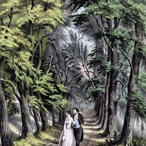 Couple walking in the woods