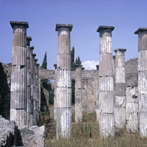 Courtyard Colonnades, Pompeii