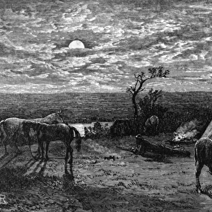Cree Indian camp, c. 1870