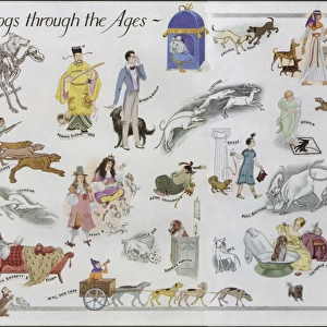 Dogs Through the Ages