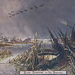Duck Shooting on the Norfolk Broads