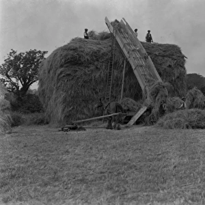 English Haymakers 1930S