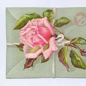 Envelope with pink rose on a Christmas card